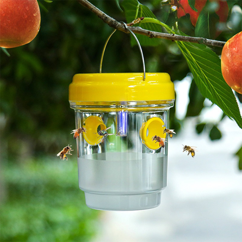 Outdoor Lighting Under Pergola - 태양광 과일 파리 트랩 정원 과수원