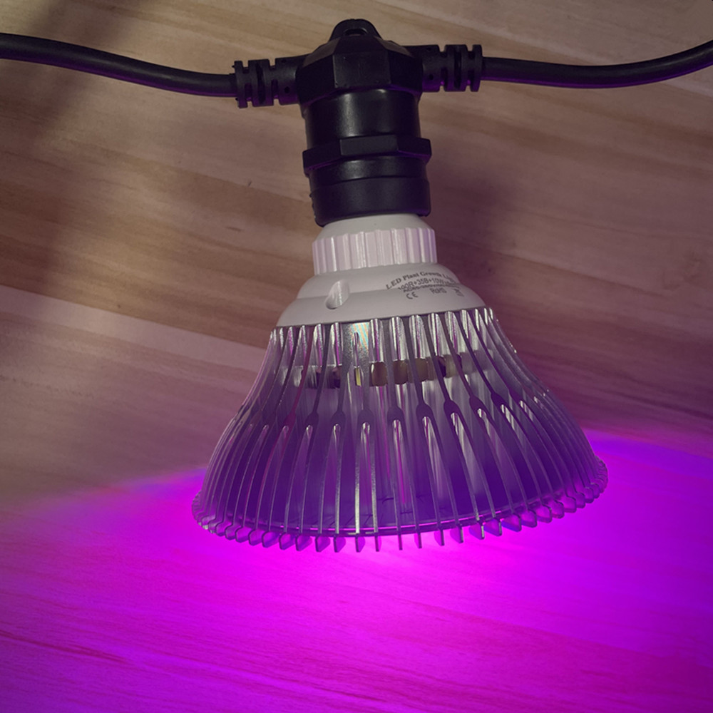 10M 케이블 LED 스트링 조명, 상업용 등급 방수, - Outdoor Lighting In Ground 리뷰 및 가격