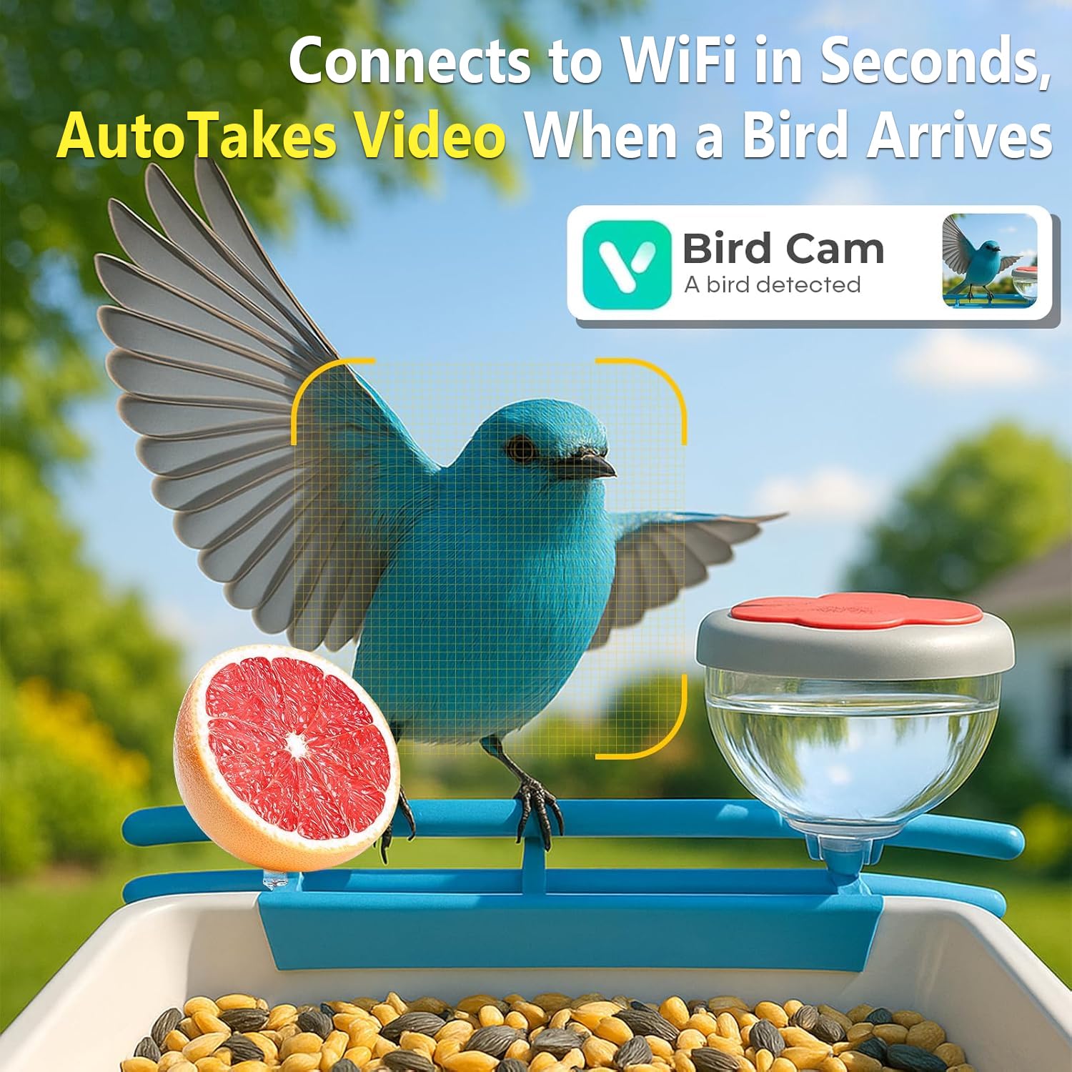 스마트 새 모이통 카메라 2K 라이브 스트리밍 AI 인 - Motion Sensor Outdoor 리뷰 및 가격